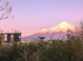 Taranaki Creekside KIWI by Tiny Away