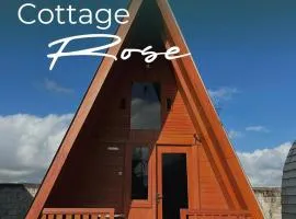 D88 Resort
