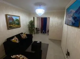 Cozy apartment 2 rooms 15 minutes air port