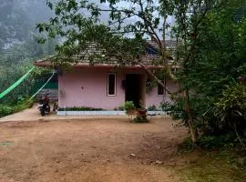 River stream Nest homestay