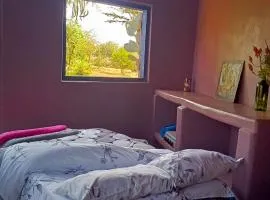 Bushfit -Near Amboseli - Room for 1 with breakfast, dinner, workout