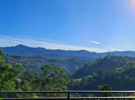 Shining Green View