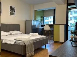 Garsoniera in Copou lângă Parhon IRO