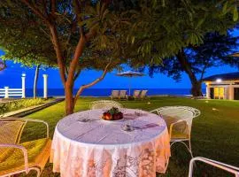 Oceanfront 6 Bedroom Twin Villas - OV6