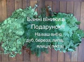 Баня,Сауна ДОМАШНІЙ ЗАТИШОК, hotel in Pidvarki