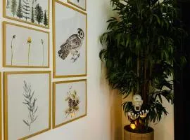 Nature-Inspired Stay in Piata Sfatului Brasov