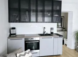 Downtown Apartment Rentals