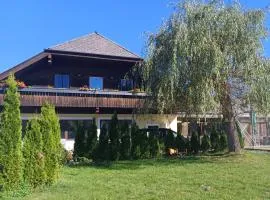 Ferienwohnung Gfrerer Althofen