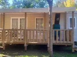 Mobil-home 5 pers climatisé - Plage et forêt - Camping Les Oyats Seignosse