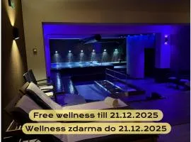 LH Parkhotel Hluboka Nad Vltavou Congress & Wellness
