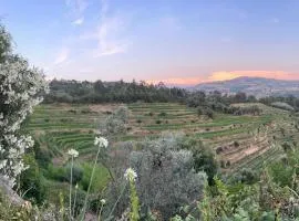 Stay on a Vineyard in Douro Valley Quinta de Alvites