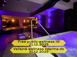 LH Parkhotel Hluboka Nad Vltavou Congress & Wellness