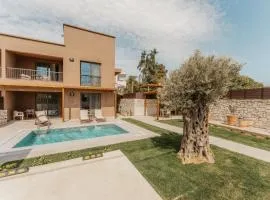 Luxury Suites with private pool and BBQ by Kalles Homes & Suites
