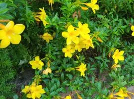 Hotel suites Las Abuelas