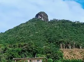Bosque Místico