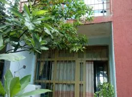 Estifanos Guest House
