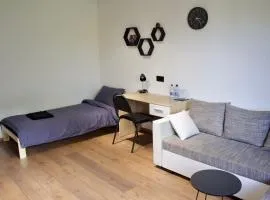 Modern Apartment in Jekabpils Nr2