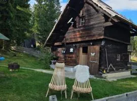 Urige Waldbienenhütte