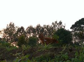 Nature flows Eco-Farm cottage & campsite, cottage in Fort Portal