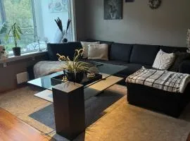 Apartment 15 min from Bergen