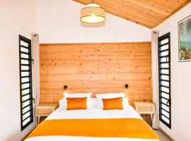 Gîte Douceur & Évasion avec Spa Privatif pour 2 - Vue Océan - FR-1-786-71