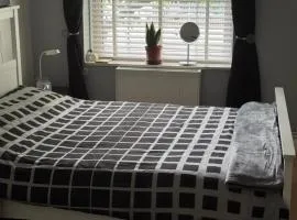 Bellingham apartment London