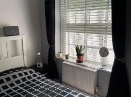 Bellingham apartment London