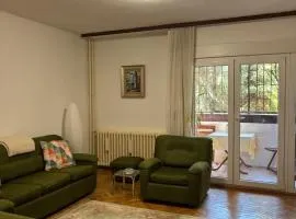 Spacious Apartment in Banovo Brdo