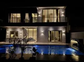 The Villa Exotica with Pool, Lawn and Indoor Games