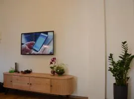 Apartment-alys