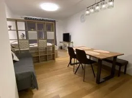 OG2 Rechts 2-Zimmer Wohnung mit Balkon 15min bis Salzburg