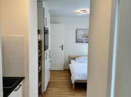 Mc Solutions Apartment im Zentrum, hotel in Sankt Gallen