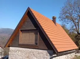 Stone House 1866