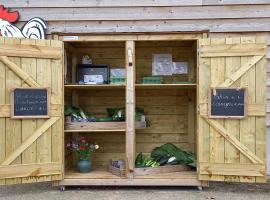 Nice Tiny Home located next to its own food forest, tiny house in Haghorst