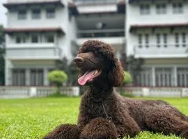 MiraNamin Nest BANABA Suite in Unique Historic Home - Garden View, Shared Kitchen, Rooftop, Pet Friendly with a Fee