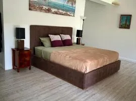 One bedroom with shared bathroom ground level of a two-story house