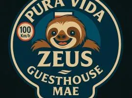 Zeus Guesthouse -Free SJO Airport Shuttle & Car Rental