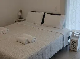 Akrivis studio