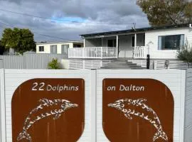 Dolphins on Dalton