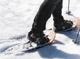 SeeHotel & SeeApartments Kärntnerhof- direkt am See!, hotel in Weissensee