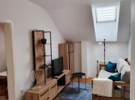 Apartman Matica Srpska sa garazom