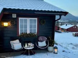 Vinter Hytter