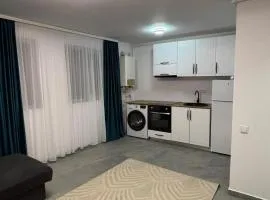 Cozy Apartment Mureseni