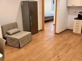 Modern Apartment, nähe, Bodensee und Alb