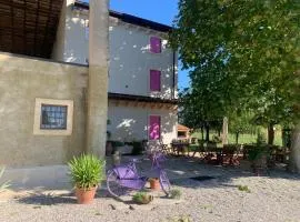 Agriturismo Corte Bonetti - Appartamento Il Platano