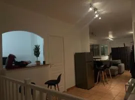 Superbe Loft 100m2 proche du centre de Toulouse