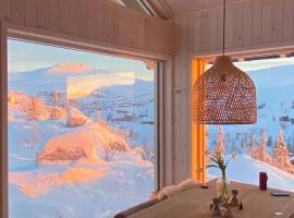 Architect-Designed Cabin With Views Of Sigdal, hotel en Skadeland