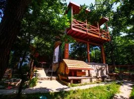 Villa Vejini cabin