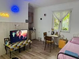 Private Guest Room with Garden Access