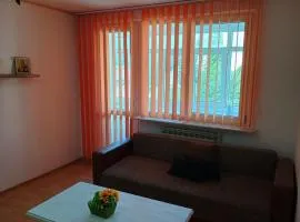 Apartament Central